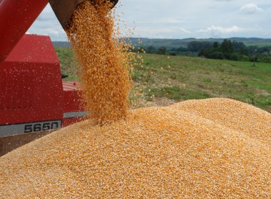 Produção de grãos bate recorde no Brasil, aponta IBGE