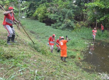 Lauro de Freitas: Peixes são encontrados mortos em rio