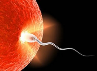 Polêmica: Doadores de esperma ganham acesso a filhos na Justiça