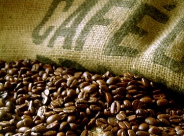 Um terço do café consumido no mundo é produzido no Brasil, diz pesquisa