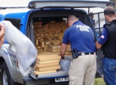 Polícia Civil apreende 770 kg de maconha em Conceição do Jacuípe