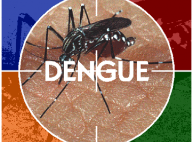 Dengue: Ministério da Saúde diz que Salvador se encontra em situação de risco