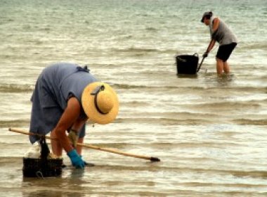 Pescadores e marisqueiras serão beneficiados com obras no Subúrbio