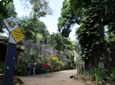 Zoológico de Salvador inicia visitação noturna monitorada