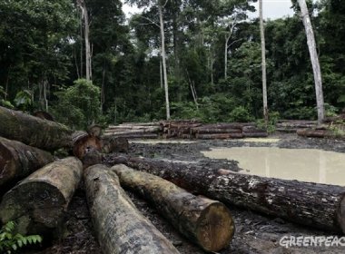 Relatório da ONU prevê catástrofe ambiental em 2050