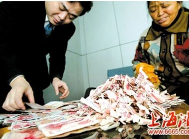 Ratos 'rasgam' dinheiro e causam prejuízo de mais de R$ 2 mil a chinês
