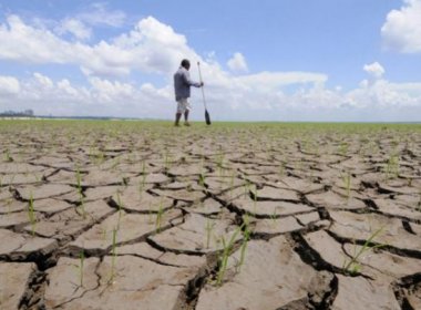 Dilma vai anunciar pacote contra a seca