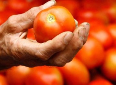 Brasileiros que vão a Argentina comprar tomate mais barato são ‘contrabandistas’, diz governo