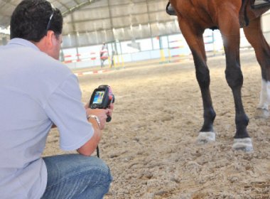 Termografia ajuda a descobrir lesões musculares em cavalos