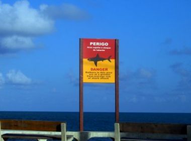 Jovem morre após ataque de tubarão no Recife