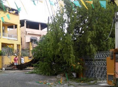 Em Salvador, derrubada de árvores dobra no último ano