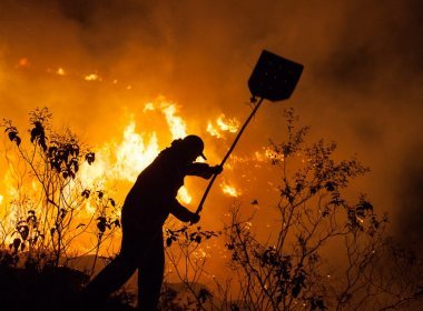 Além da Chapada, ao menos 12 áreas federais protegidas tiveram incêndios na Bahia