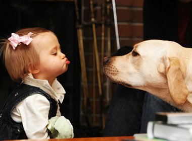 Cães percebem sentimentos como humanos, diz pesquisa