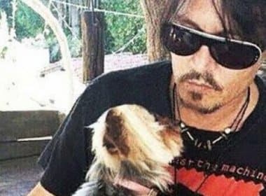 Johnny Depp pode ser preso por transporte ilegal de animais