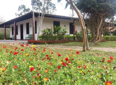 Parque Histórico Castro Alves celebra 50 anos com exposição e homenagens online