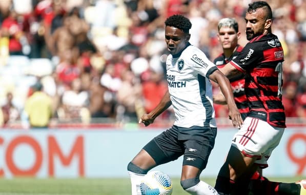 Empresa contratada pelo Botafogo diz que segundo gol contra o Flamengo foi ilegal: "Falta válida não apitada"
