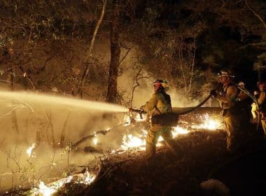 EUA: Em seis dias, incêndio na Califórnia deixa ao menos 40 mortos