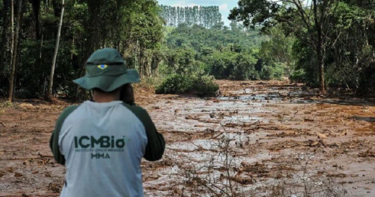 Bolsonaro turbinou indicações e esvaziou controle de Ibama e ICMBio sobre Amazônia