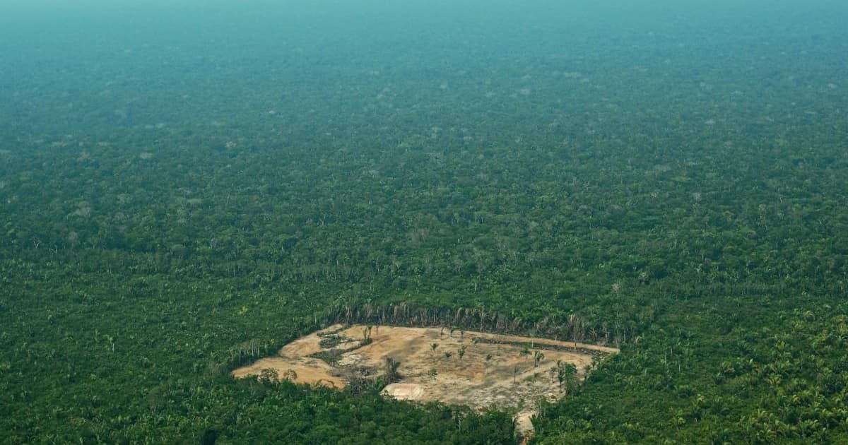 No primeiro ano de Lula, desmatamento na amazônia caiu enquanto espaço para petróleo cresceu
