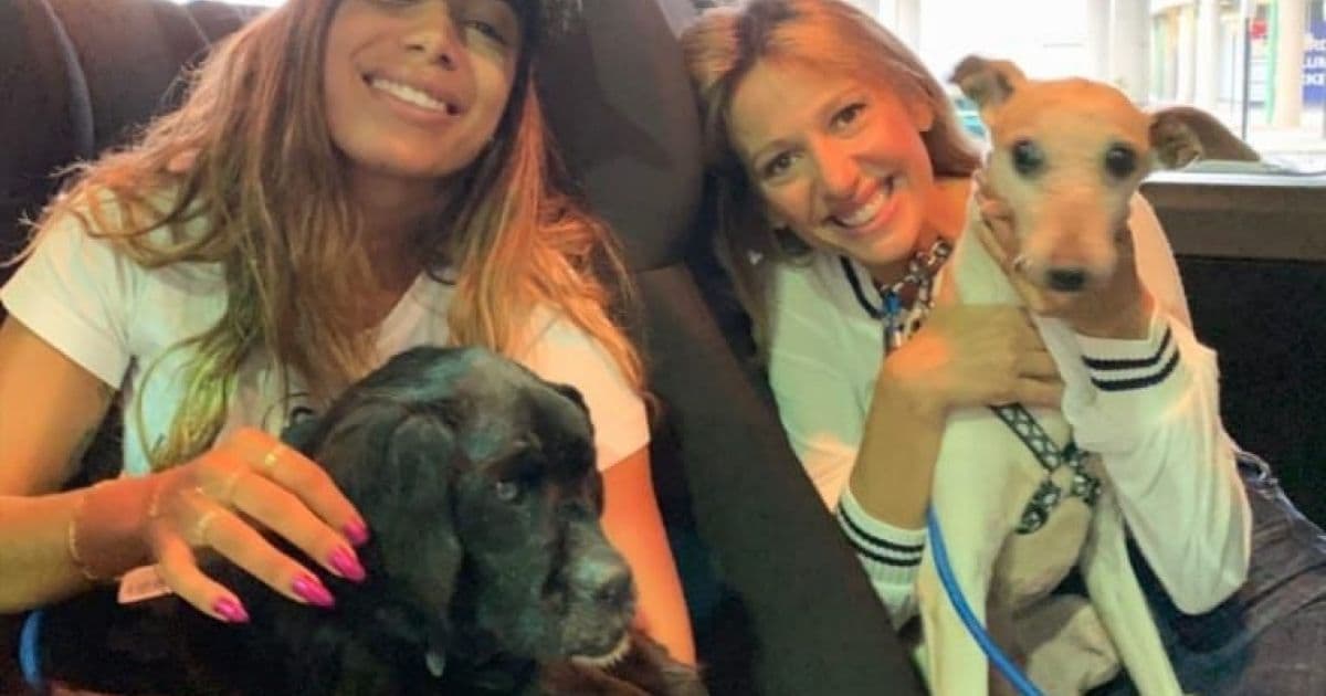 Em retorno ao Brasil, Anitta se encontra com Luisa Mell e adota dois cães com deficiência 