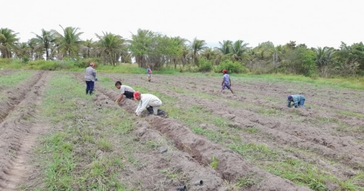 MPF abre processo administrativo para acompanhar ações do Incra em conflitos agrários no extremo-sul