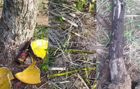 Grupo denuncia monitoramento de terreiro por empresa no Recôncavo baiano