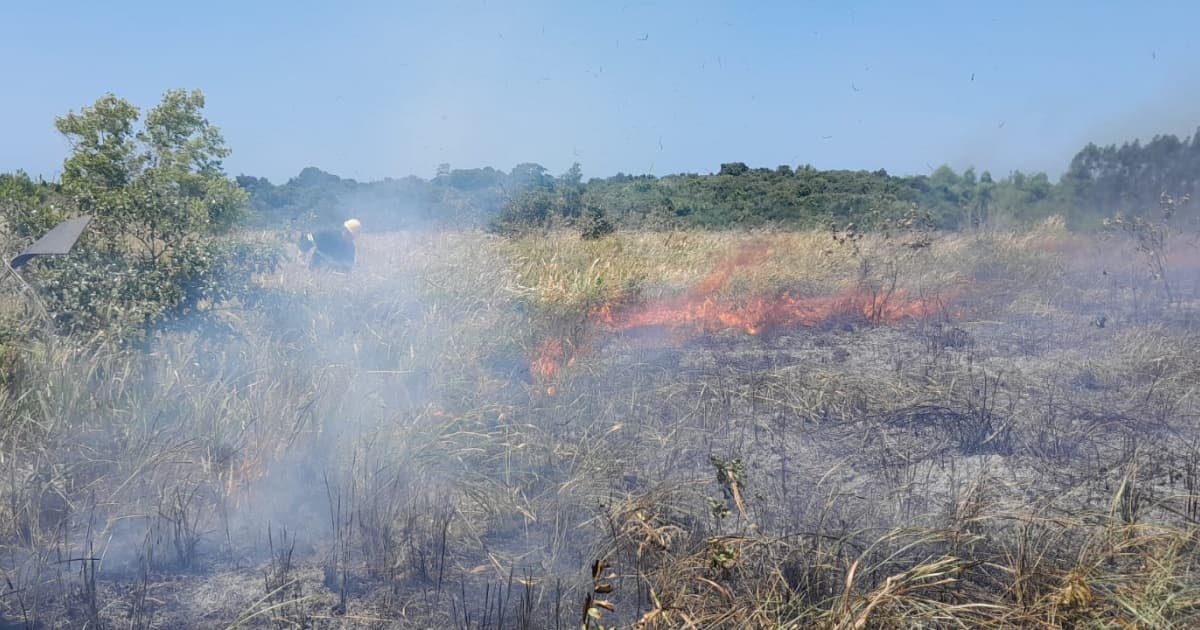 Incêndio atinge área de mata atlântica em Parque Nacional Monte Pascoal