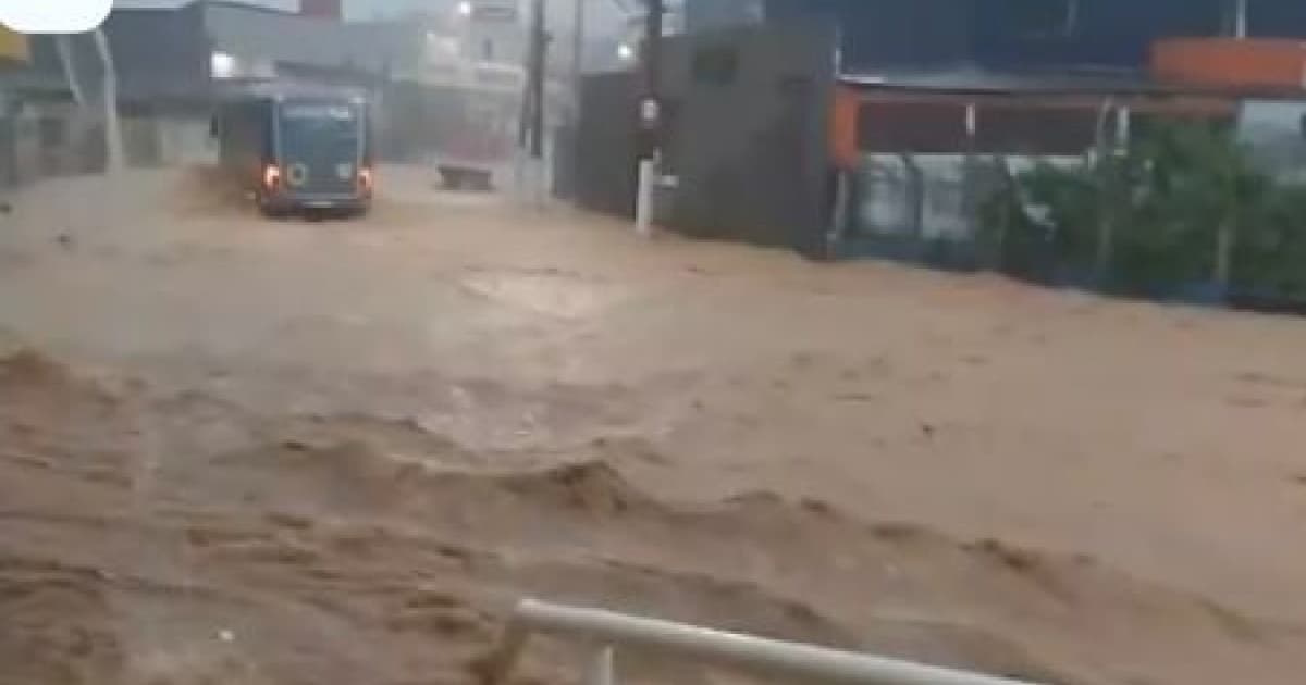 Chuva forte deixa ruas e avenidas debaixo de água em Ilhéus; árvore despenca em rodovia