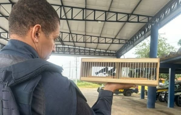 PRF flagra transporte ilegal de aves silvestres em Feira de Santana