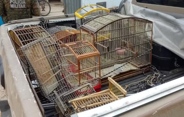 Dupla é presa com 17 aves silvestres, drogas e munições na Chapada Diamantina