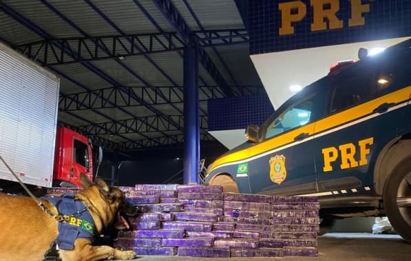 PRF apreende 150 kg de maconha em caminhão no Sudoeste baiano