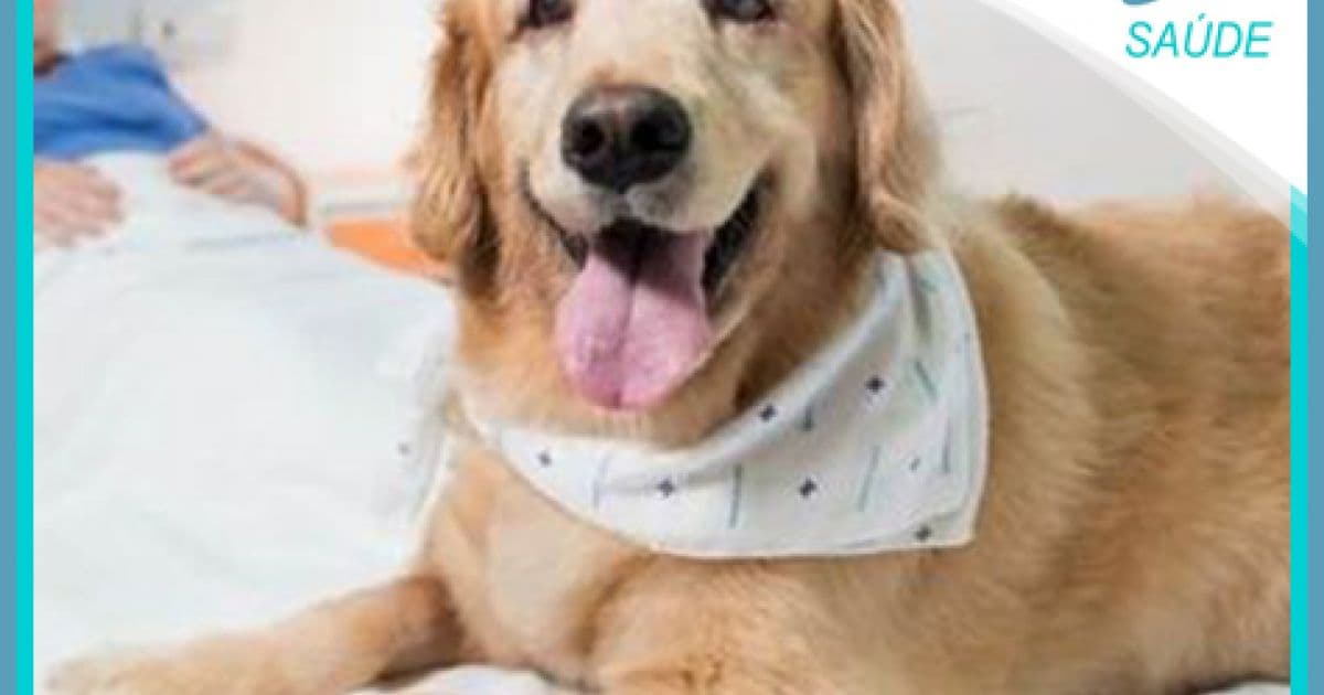 Destaque em Saúde: Paciente com câncer melhora após reencontrar cachorro