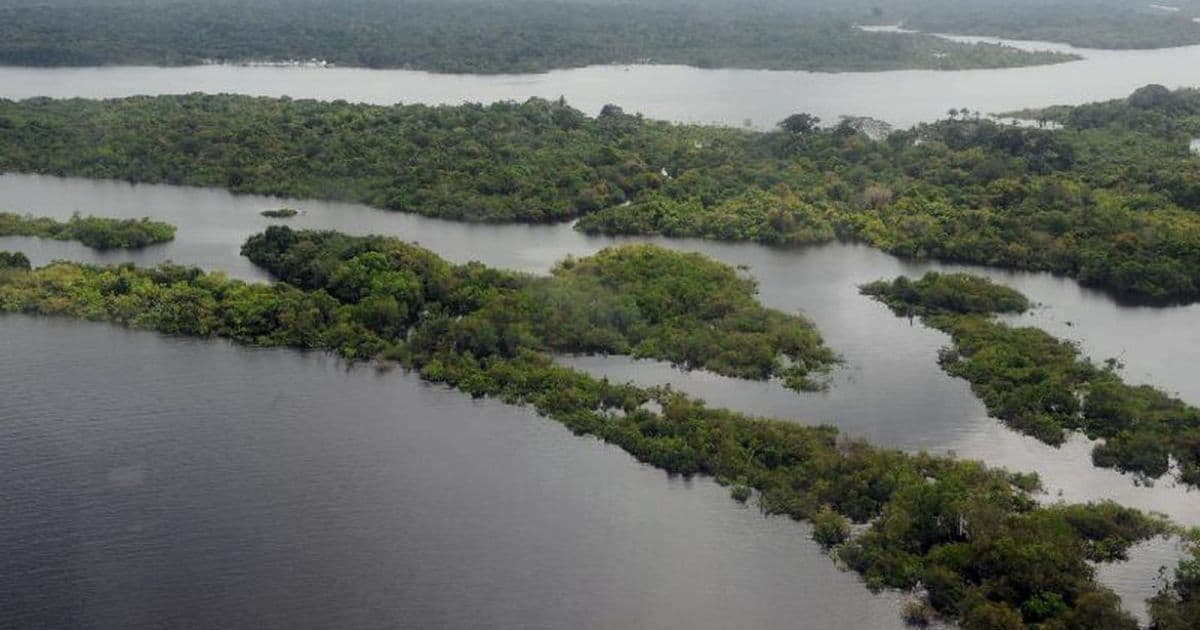 Fundo Amazônia: Representante da Alemanha vem ao Brasil para discutir retorno dos repasses 