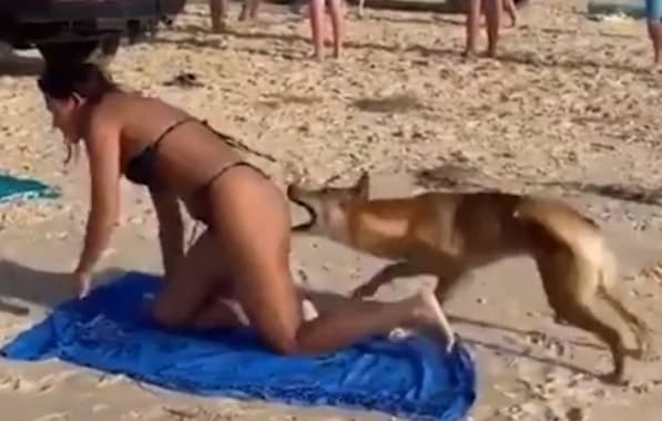 VÍDEO: Cão selvagem morde bunda de turista francesa em praia