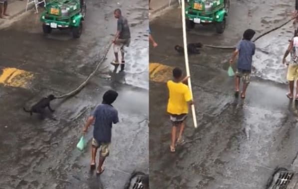 Vídeo de cachorro sendo picado por cobra que estava sendo arrastada em rua de Salvador viraliza 