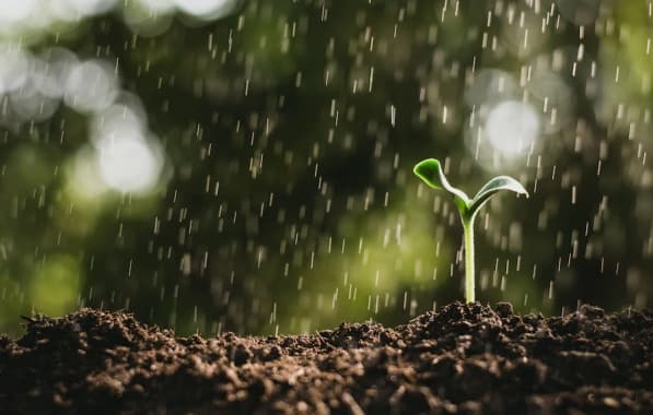 Após março mais seco, Inmet projeta que abril terá índice de chuvas maior em áreas agrícolas da Bahia
