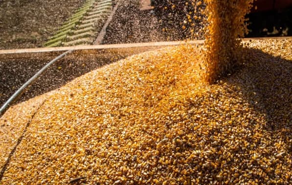 Safra de grãos na Bahia deste ano deve ser 6,8% menor na comparação com 2024, estima IBGE