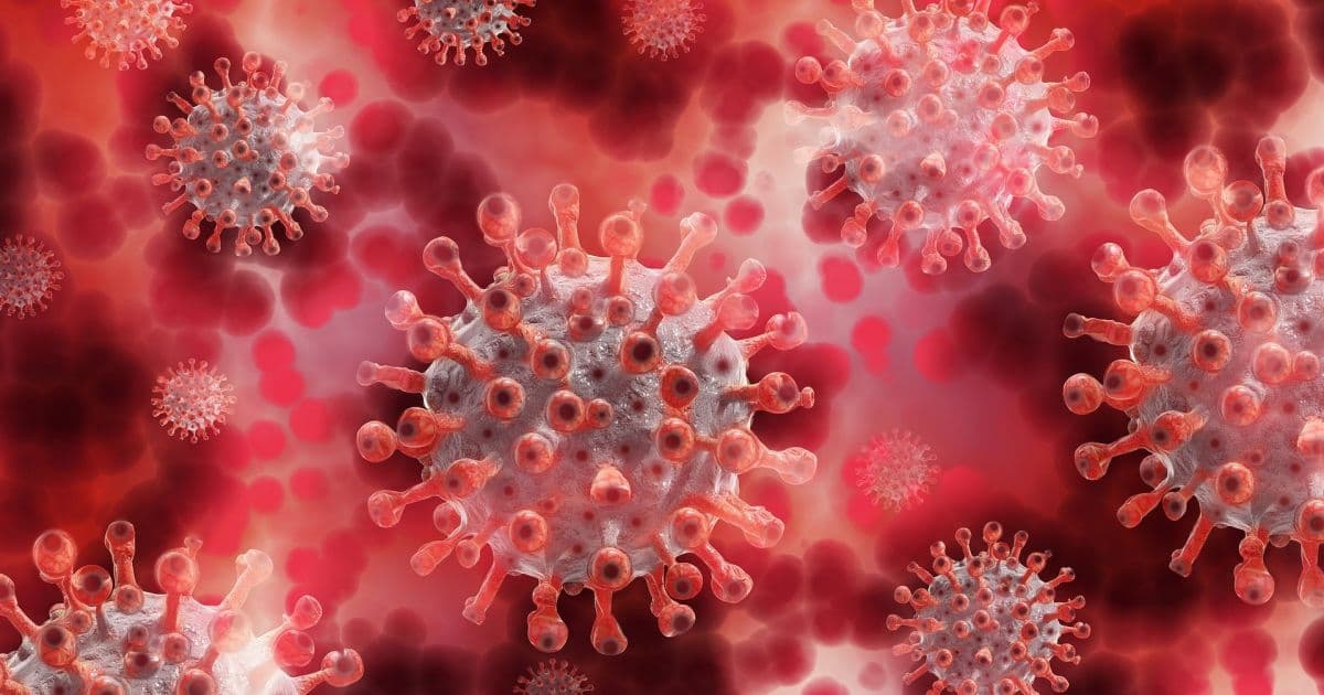 Cientistas da UFRJ identificam paciente infectada com o coronavírus por 5 meses