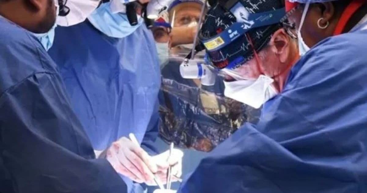Homem com coração de porco transplantado morreu por insuficiência cardíaca, diz estudo