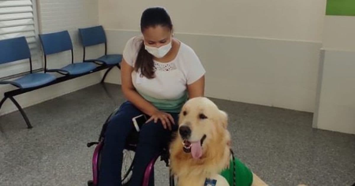 Hospital Municipal de Salvador tem cão terapeuta como mais novo membro