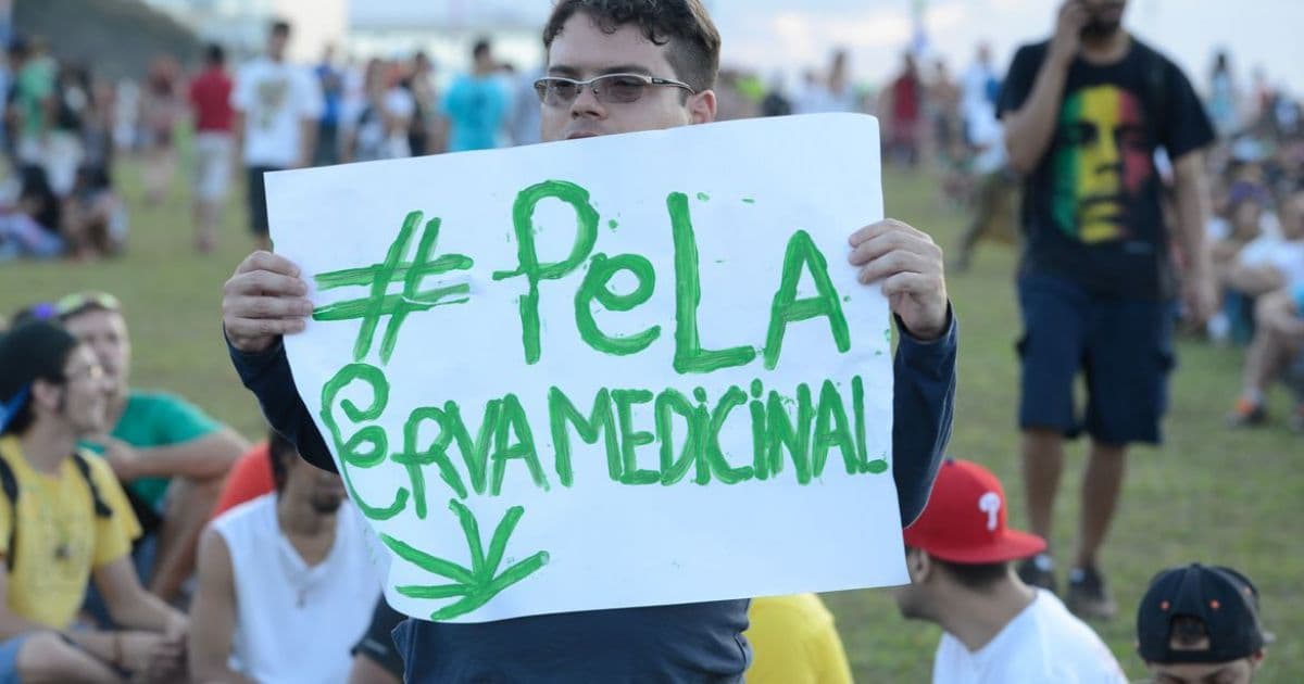 CFM estabelece regras para uso da cannabis no tratamento de doenças na infância