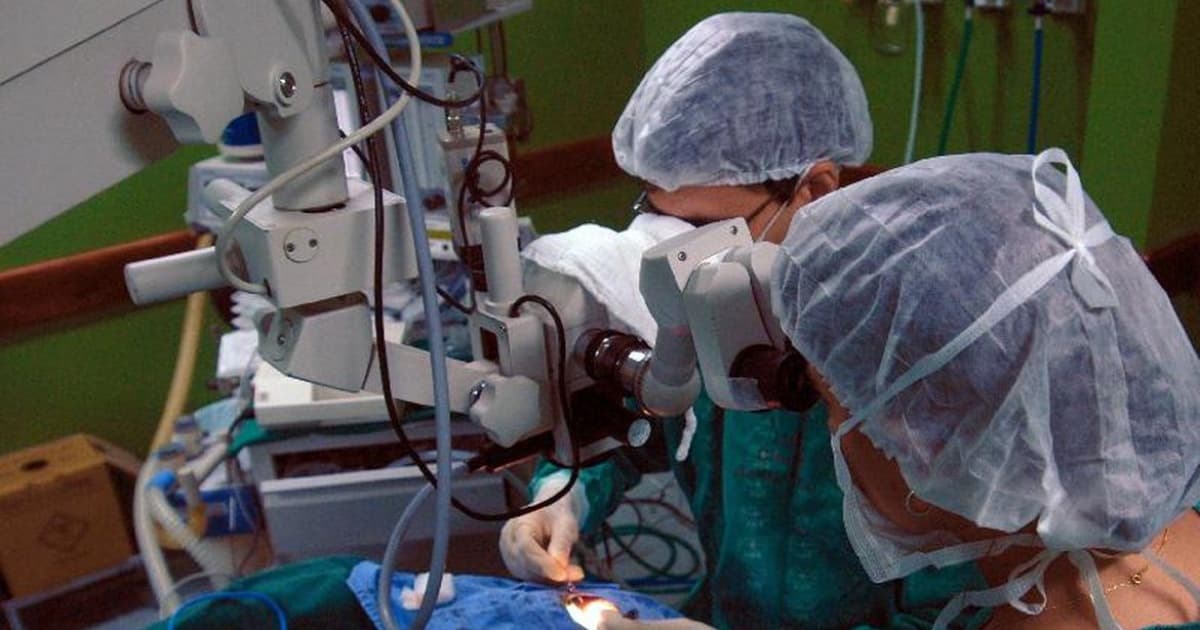 Hospitais universitários são referência em transplantes de órgãos