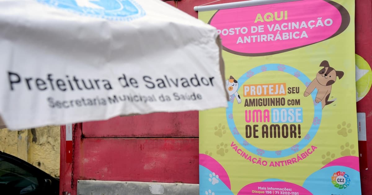 Campanha de vacinação antirrábica em Salvador é prorrogada até 30 de setembro
