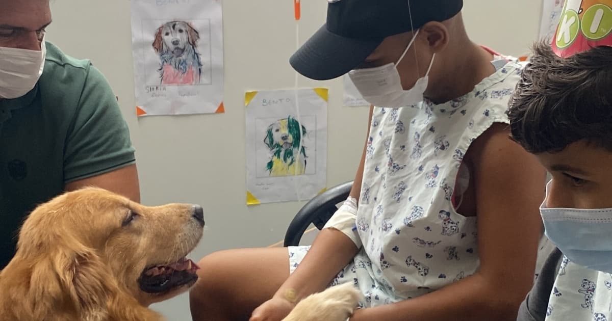 VÍDEO: Cão terapeuta auxilia tratamento de crianças e adolescentes em hospital de Salvador 