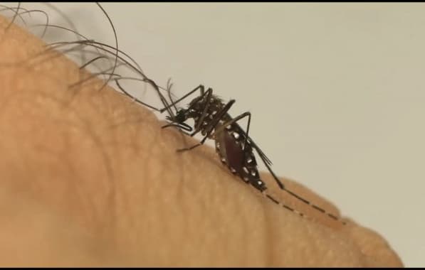 Dengue avança em ritmo acelerado no estado do Rio de Janeiro