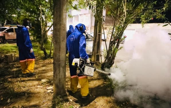 Bahia chega a 21 mortes por dengue em 2024