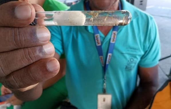 Bahia alcança 64 mortes por dengue em 2024; mais de 190 municípios estão em epidemia 