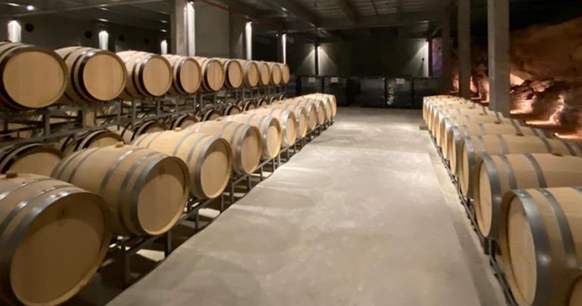 Websérie sobre produção de vinhos na Bahia tem lançamento neste domingo