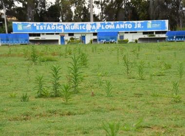 Mato cresce ainda mais e piora estado do gramado do Lomantão; prefeitura promete agir