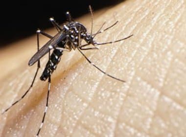 Pressionada, OMS convoca reunião de emergência para debater zika na Olimpíada